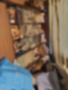 ゴミ屋敷片付け